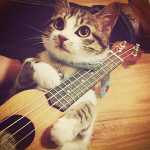 老婆爱上多人群交
